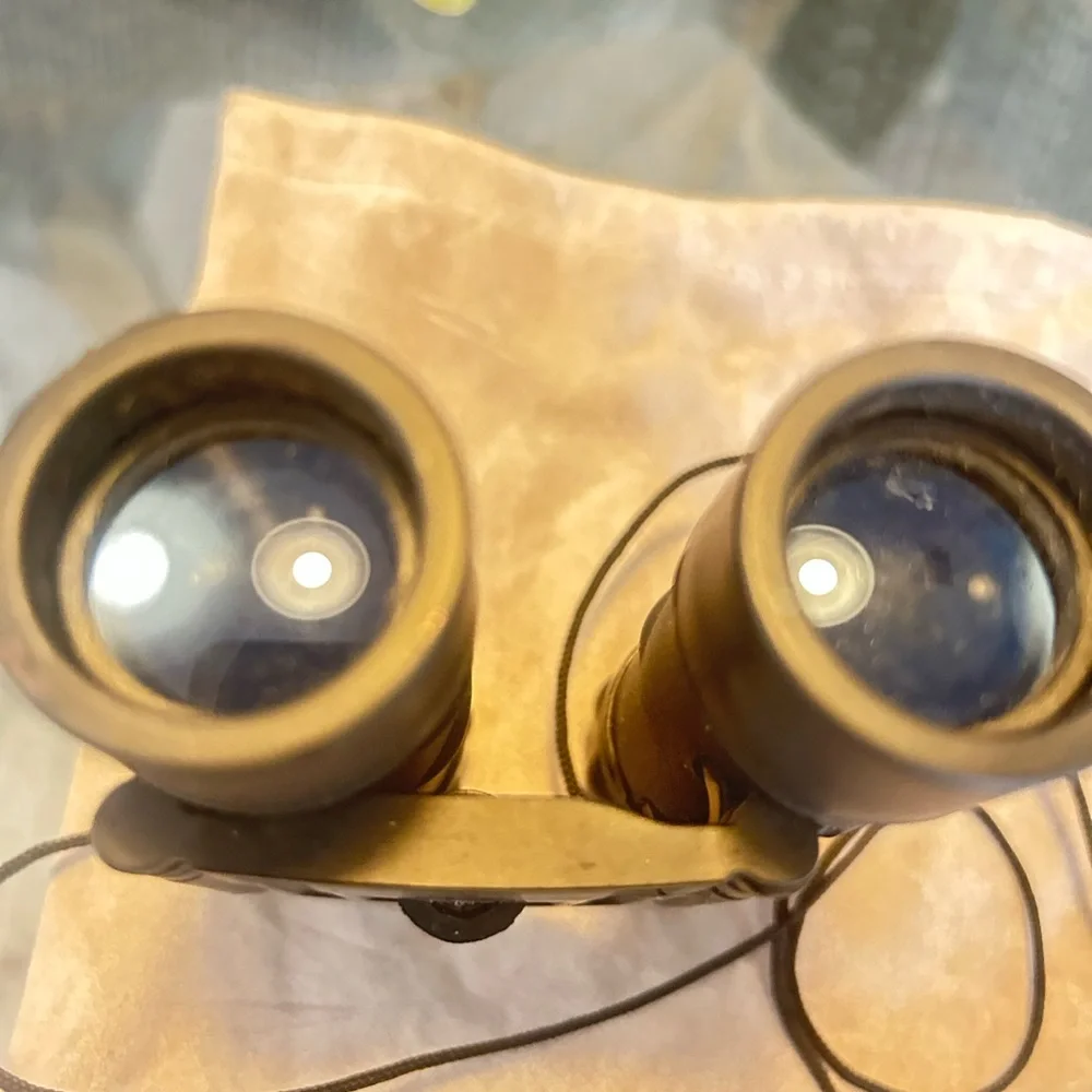Tasco Black 10x25 Binoculars